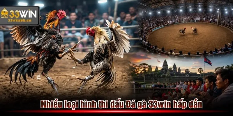 Nhiều loại hình thi đấu có tại sảnh Đá gà 33win năm 2026